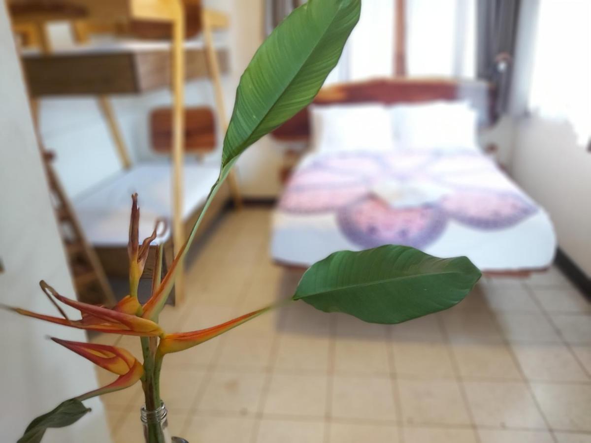 Hotel Casa Benjamin Linder Managua Zewnętrze zdjęcie