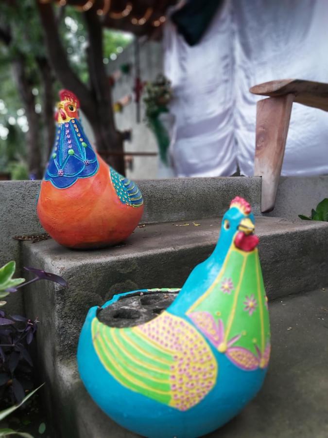 Hotel Casa Benjamin Linder Managua Zewnętrze zdjęcie
